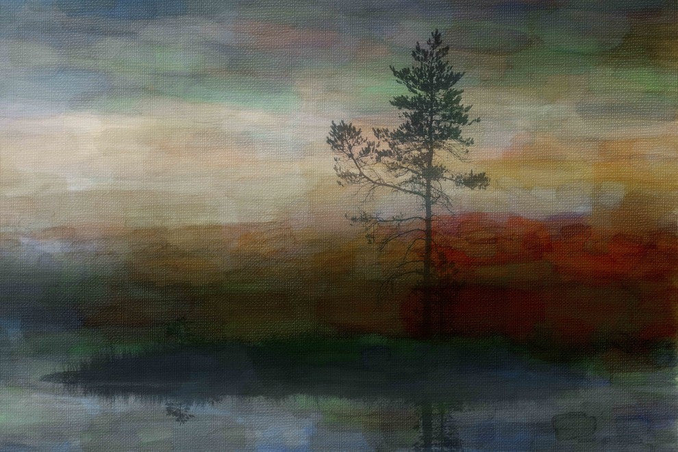 "Lone Tree" Fine Art Canvas Print, 45"x30"