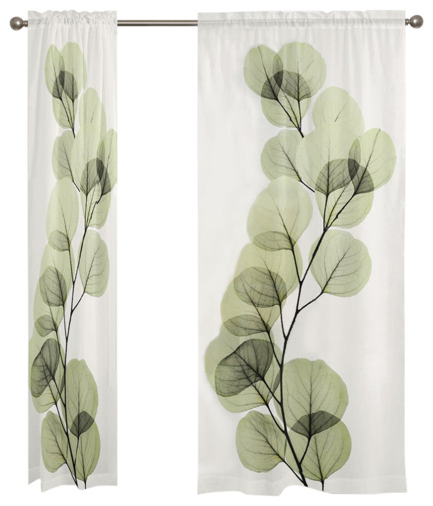 Eucalyptus Sheer, 95"x50"