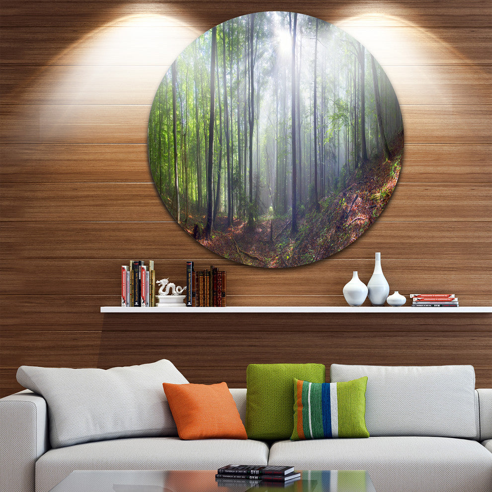Morning Sun Rays In Carpathian, Landscape Round Metal Wall Art, 38"