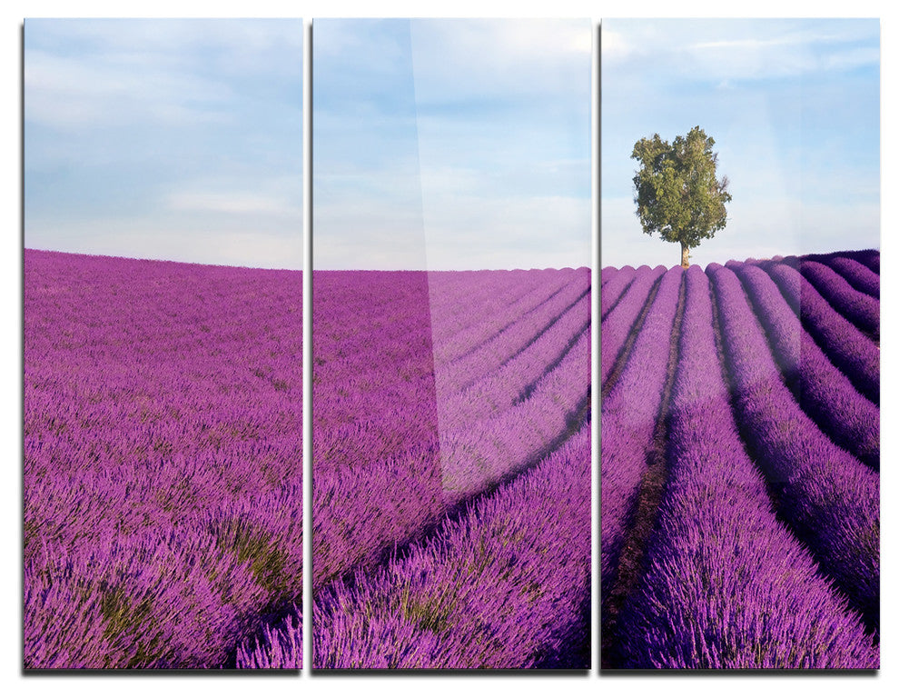 "Lavender Field With Solitary Tree" Photo Metal Wall Art, 3 Panels, 36"x28"