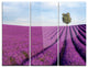 "Lavender Field With Solitary Tree" Photo Metal Wall Art, 3 Panels, 36"x28"