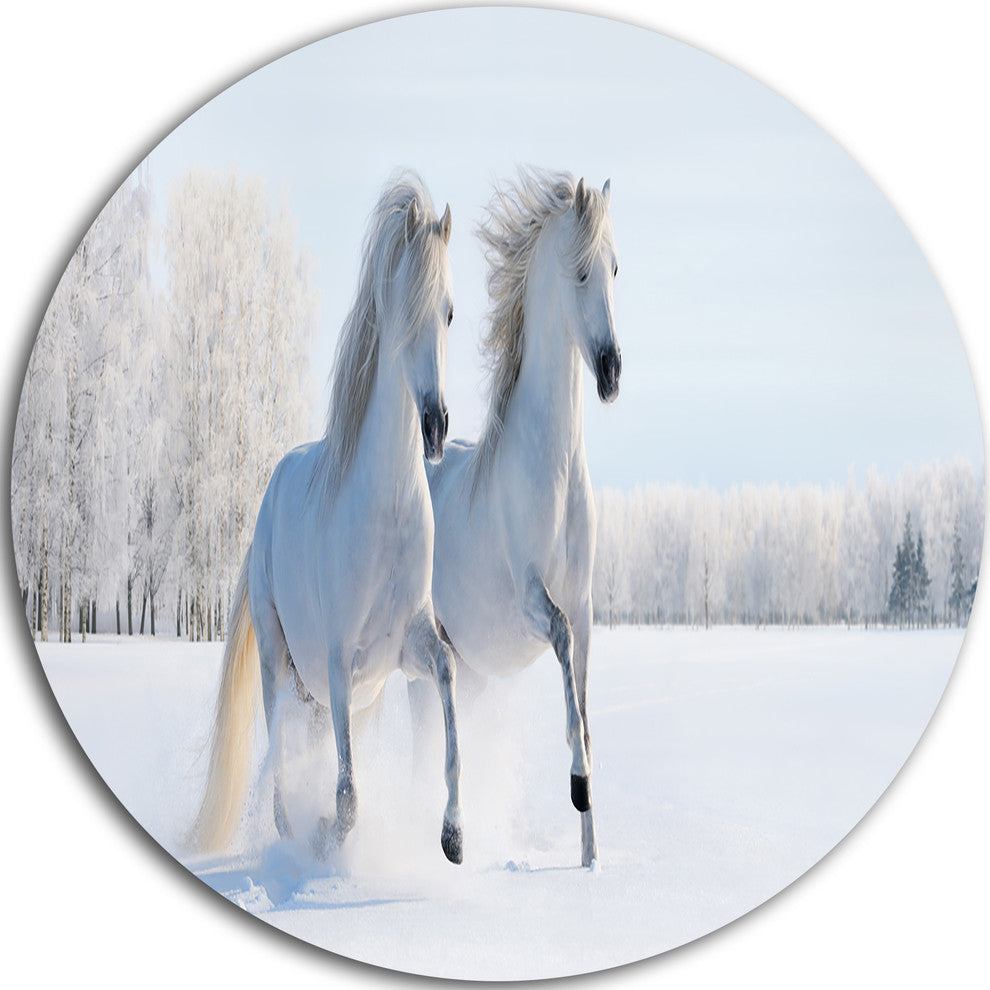 Two Galloping White Ponies, Animal Photo Large Disc Metal Wall Art, 23"