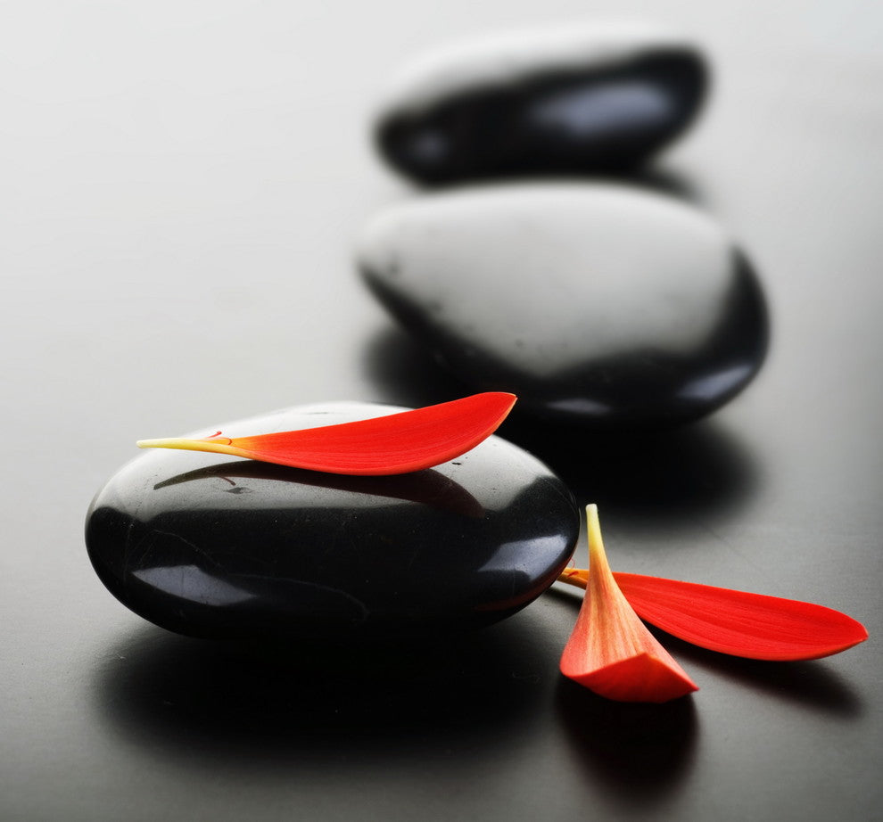 "Into The Zen" Tempered Glass Wall Art