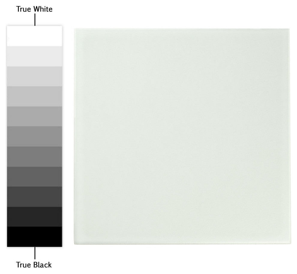 Revival Ceramic Floor and Wall Tile, White