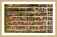 "Boxcars" Framed Print by Karolis Janulis