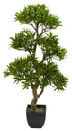 37" Bonsai Styled Podocarpus Artificial Tree