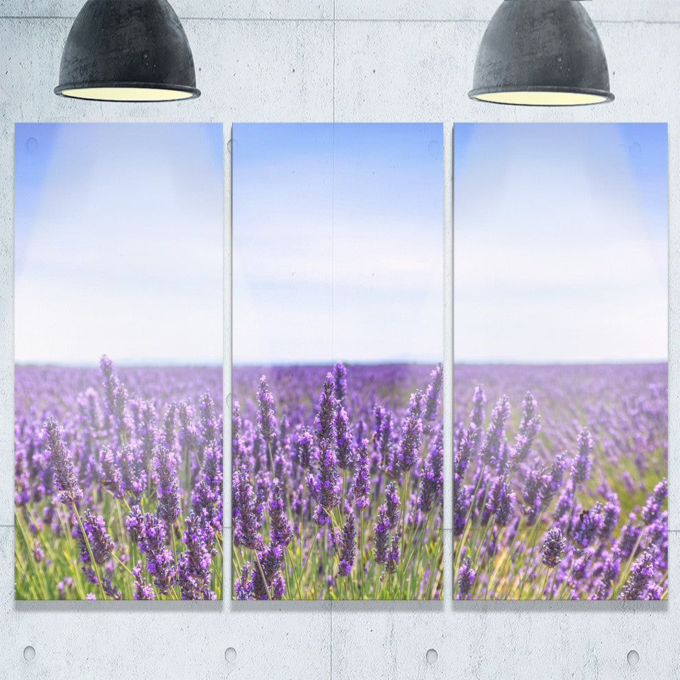 "Close View of Lavender Flower Field" Metal Wall Art, 3 Panels, 36"x28"