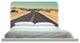 "Street Through Desert" Headboard
