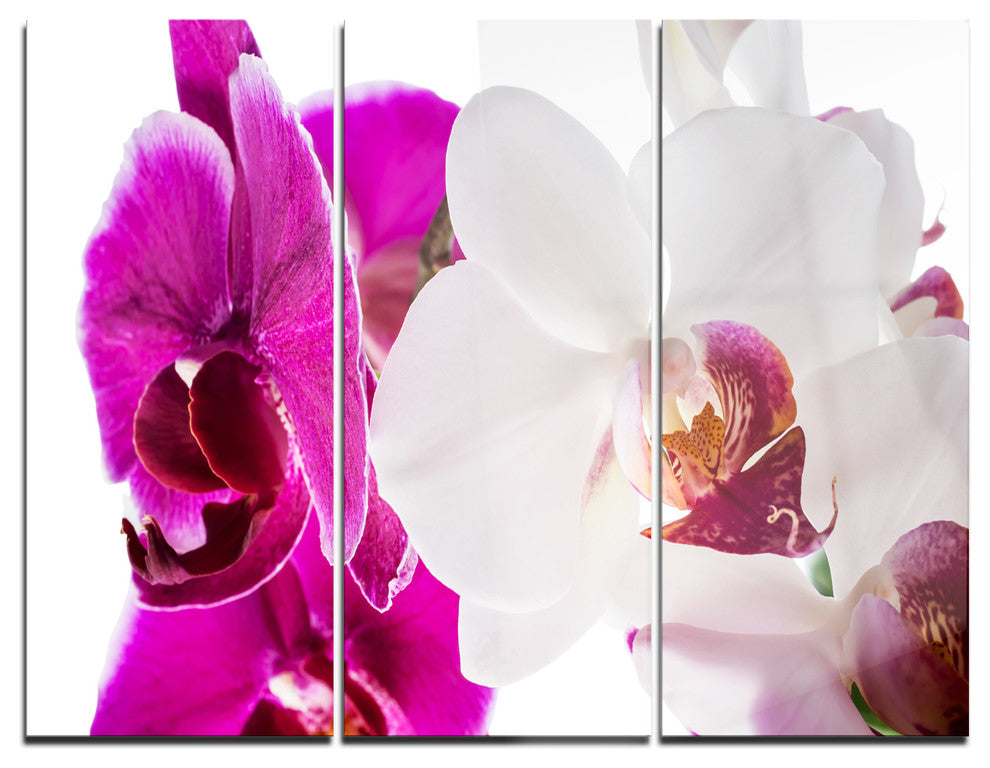 "Blooming Orchid Flowers" Digital Metal Wall Art, 3 Panels, 36"x28"