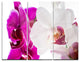 "Blooming Orchid Flowers" Digital Metal Wall Art, 3 Panels, 36"x28"