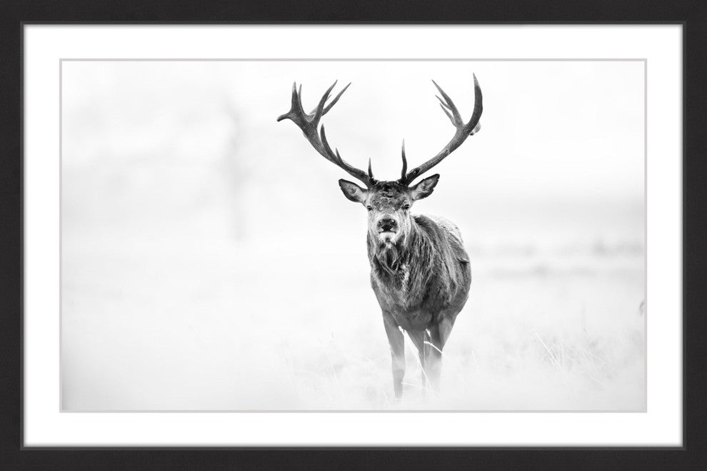 "Elk Stare" Framed Painting Print, 45x30