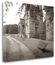 "Banc De Jardin - 60" By Alan Blaustein, Giclee Print on Gallery Wrap Canvas