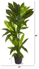 3' Dracaena Artificial Plant, Real Touch
