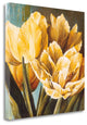 "Floral Radiance II" By Linda Thompson, Giclee Print on Gallery Wrap Canvas