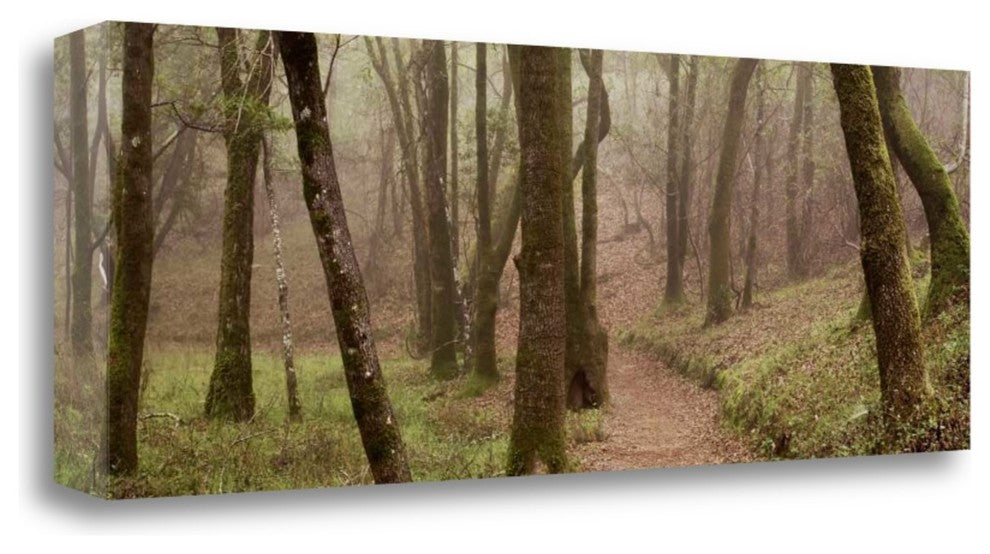 "Oak Tree - 23" By Alan Blaustein, Giclee Print on Gallery Wrap Canvas