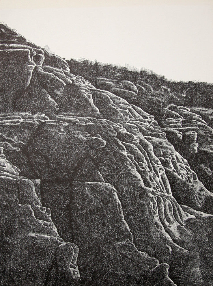 "Canyon Portfolio - Dinosaur National Monument I" Artwork