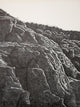 "Canyon Portfolio - Dinosaur National Monument I" Artwork