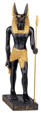 Anubis Jackal God