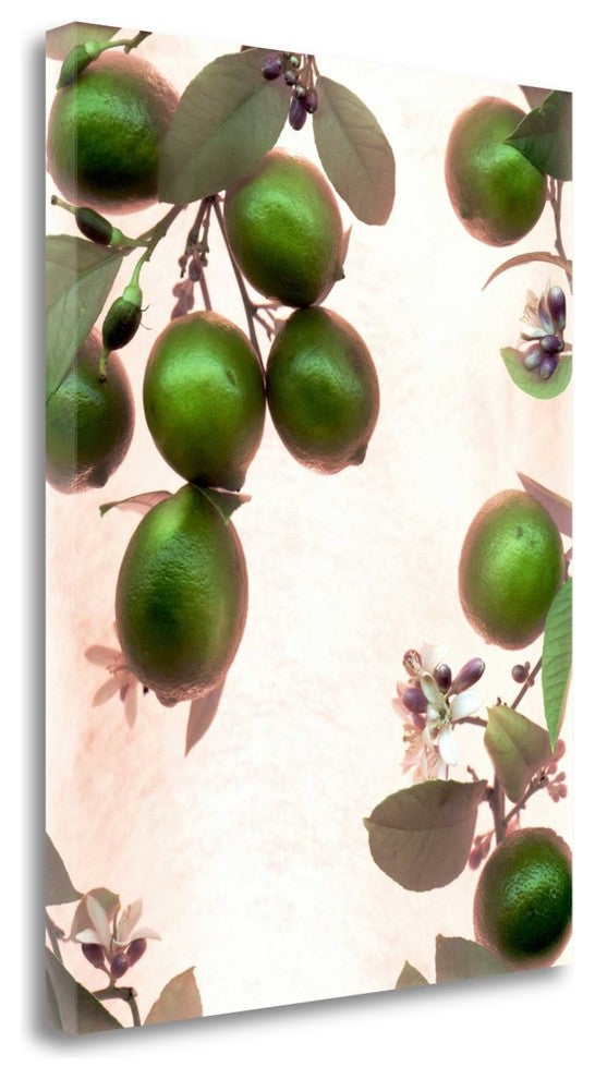"Limes - 1" By Alan Blaustein,Ready to Hang Giclee Print on Gallery Wrap Canvas
