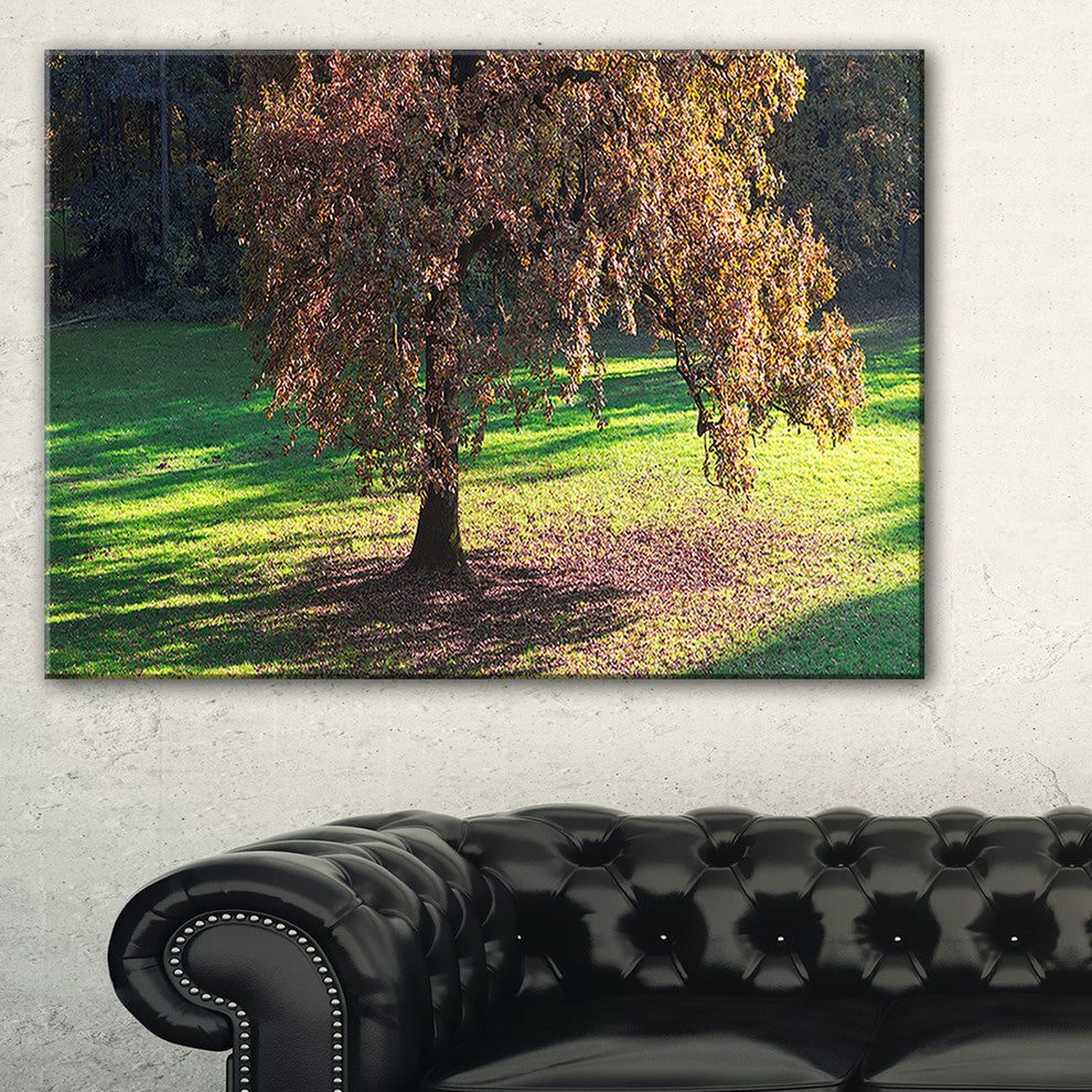 "Lonely Beautiful Autumn Tree" Wall Art, 60"x28", 1 Panel