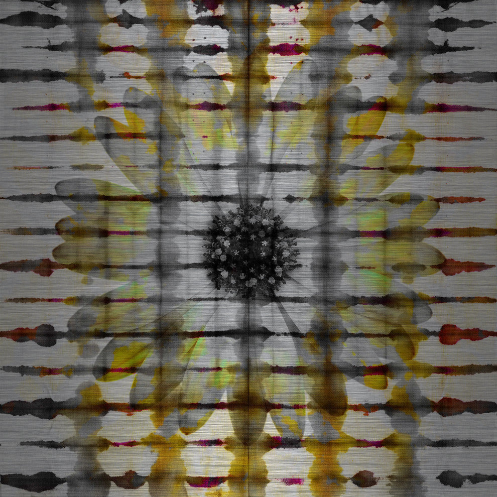 "Daisy Window" UV Ink Print on Brushed  Aluminum, 40"x40"