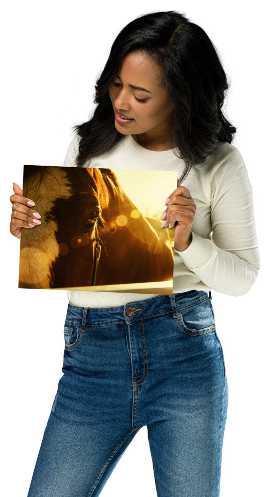 Evening Flare Horse Photograph Unframed Wall Art Print, 8" X 10"