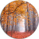 Beautiful Trees With Fallen Leaves, Landscape Disc Metal Artwork, 36"