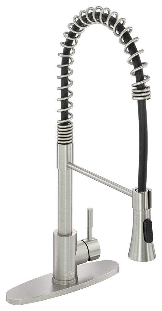 Kitchen Faucet Spring Standard Dual-Function Spray Head Deck Plate Brushed Nicke