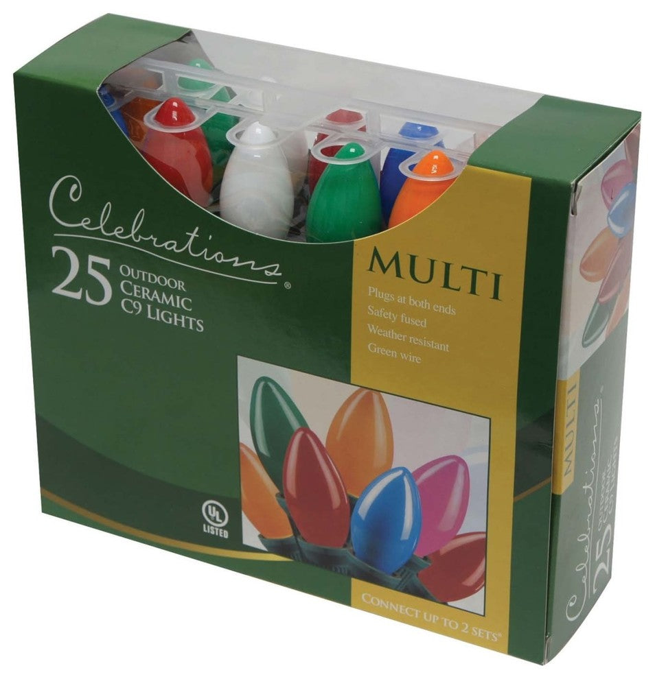 Celebrations C4BG4213 Outdoor Light Set, Multi-Colored, 25 Lights