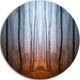 Dense Foggy Autumn Forest, Landscape Photo Disc Metal Wall Art, 36"