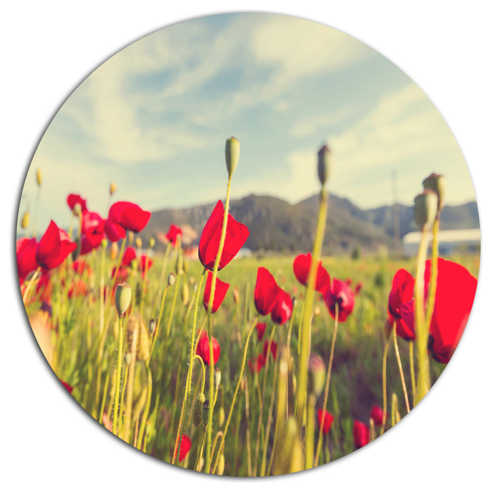 Wild Red Poppy Flowers In Field, Flower Round Wall Art, 11"