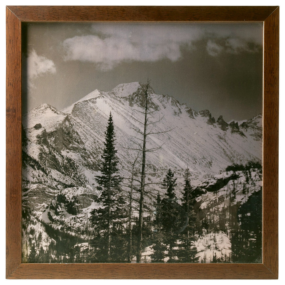 Copper Print
