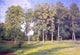 Ivan Ivanovich Shishkin Grove near Pond Premium Canvas Print