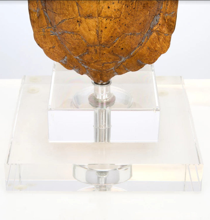 Tortoise Accent Lamp, 17.5"H