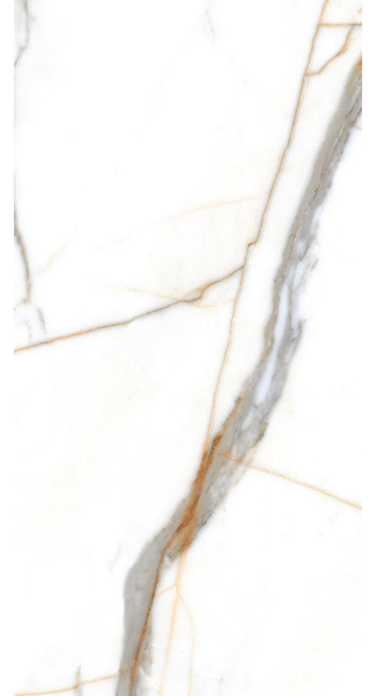 Calacatta Gold Natural Glossy Porcelain Tile, 24x48