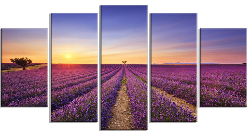 "Lavender Field in Provence France" Landscape Wall Art Print, 5 Panels, 60"x32"