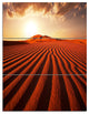 "Endless Brown Desert Dunes" Metal Wall Art, 3 Panels, 28"x36"