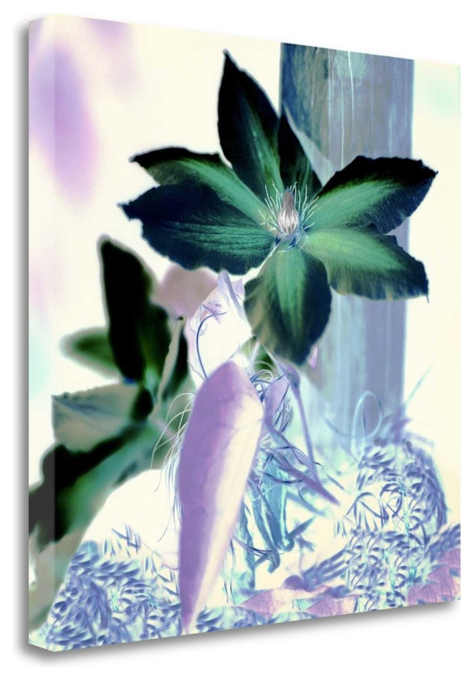 "Floral Color - 10" By Alan Blaustein, Giclee Print on Gallery Wrap Canvas