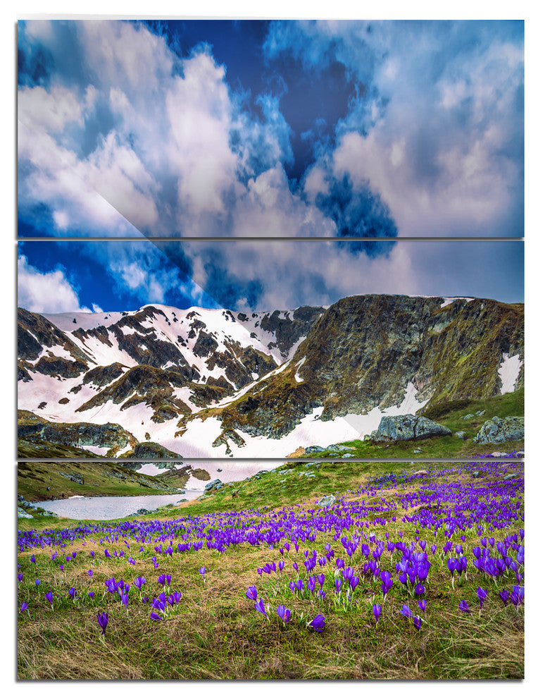 "Spring Blooming Crocus Flowers" Metal Wall Art, 3 Panels, 28"x36"