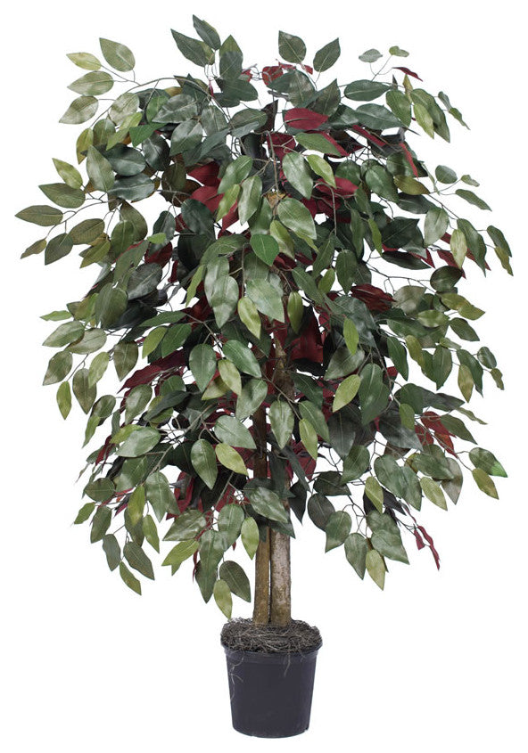 Vickerman TBU0340-06 4' Artificial Capensia Bush, Black Plastic Pot
