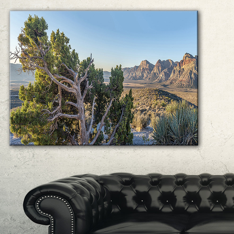 "Large Rock Canyon Panorama" Landscape Wall Art Canvas Print, 40"x20"