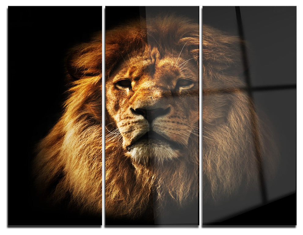 "Lion Portrait With Rich Mane" Digital Metal Wall Art, 3 Panels, 36"x28"