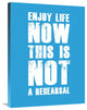 "Enjoy Life Now Poster  Blue" Fine Art Print