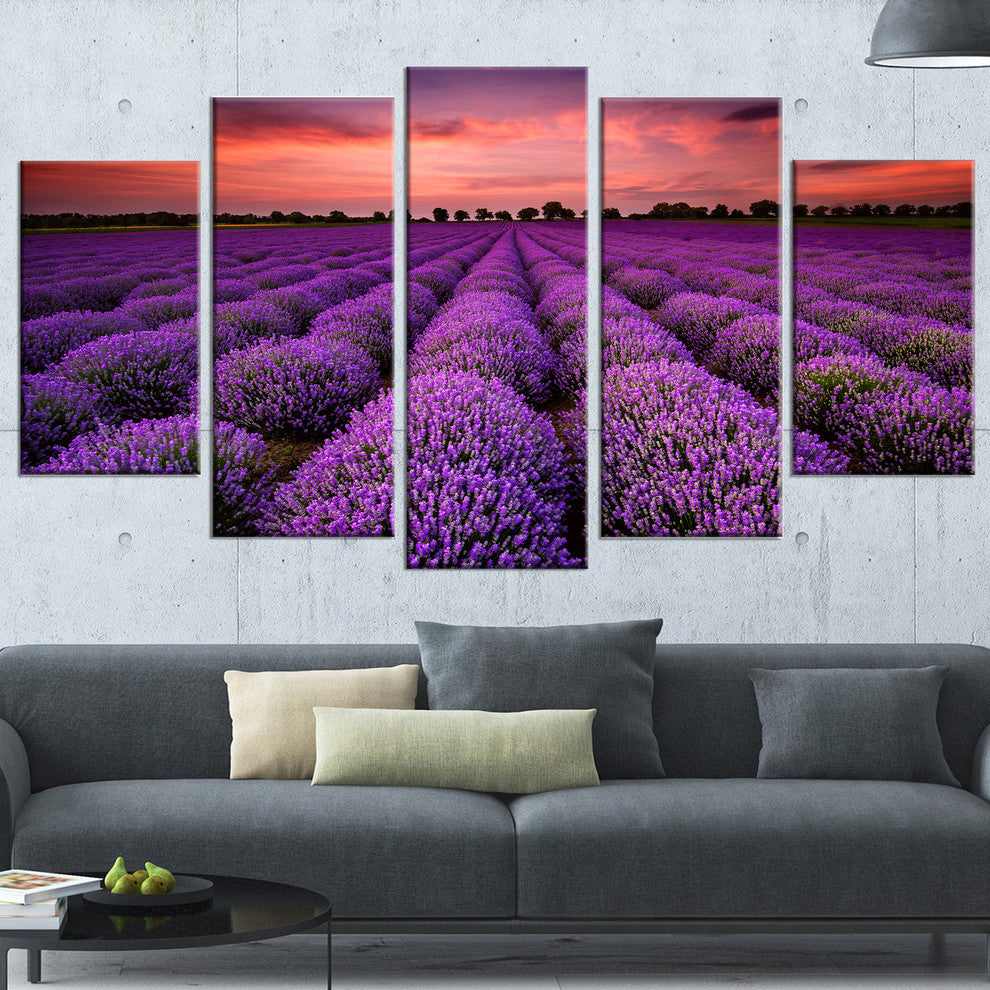 "Red Sunset Over Lavender Field" Wall Art Landscape, 5 Panels, 60"x32"