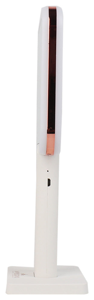 Gemini Rechargeable LED Hand Mirror