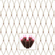 150Lt 2'X8' Led Pink/Bw Wideangle Net