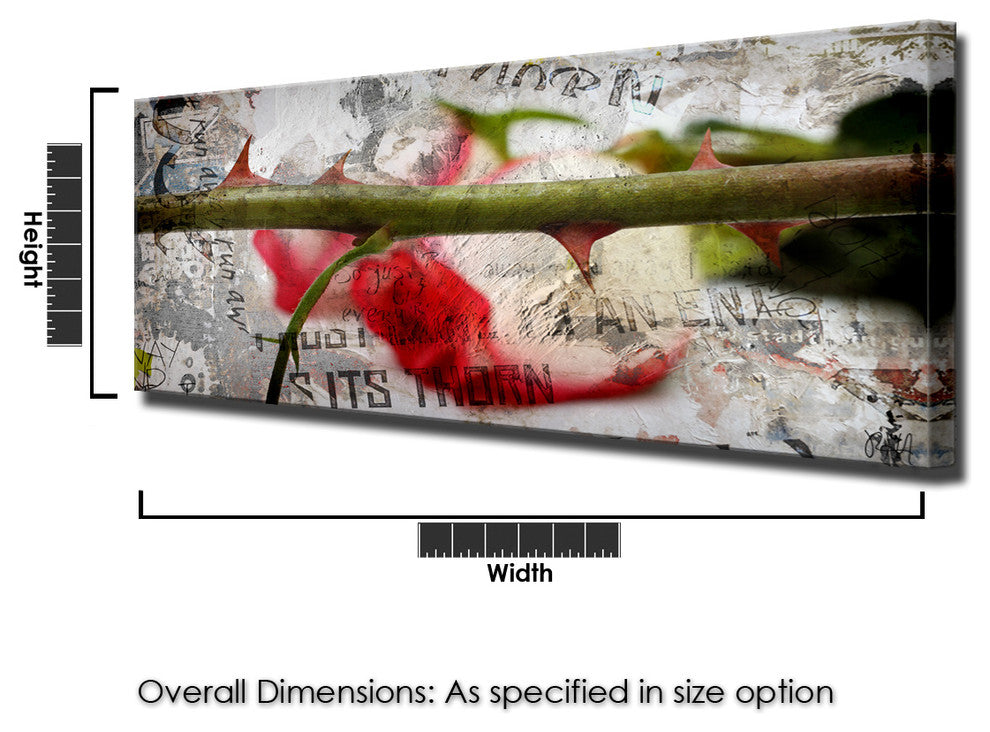 Born2BWild II Canvas Wall Art, 12"x24"