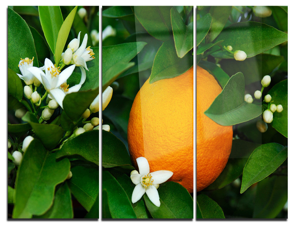 "Orange Blossom" Metal Wall Art, 3 Panels, 36"x28"