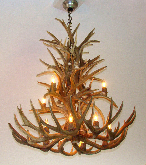 Whitetail, Mule Deer Antler Chandelier Light, Extra Large, Rawhide Shades
