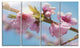 Stem of Peach Blossom Flowers, Floral Canvas Art Print, 48"x28", 4 Panels